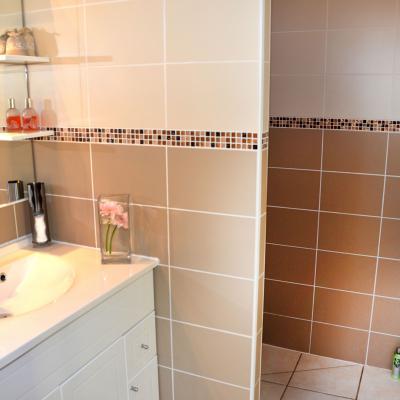 Salle d'eau L'Aute 2016