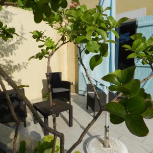 jardin de la chambre la Margotte